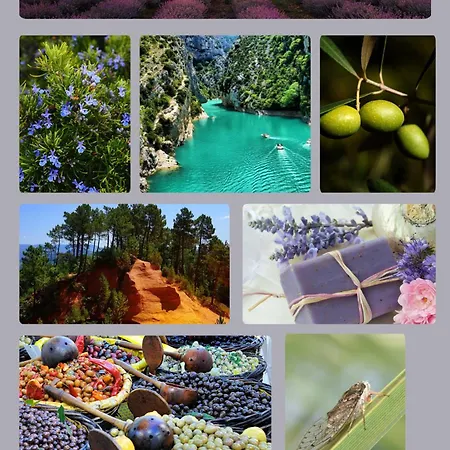 La Dolce Note - Independante - Calme Bed and Breakfast 3*
